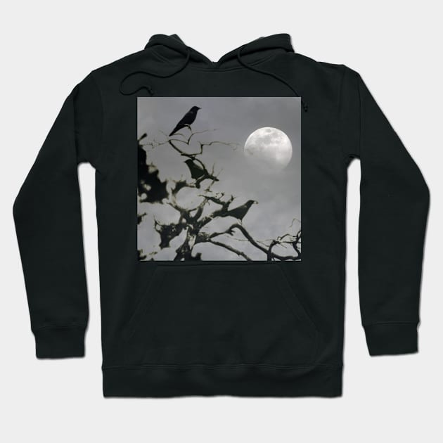 Crows Under A Full Moon Hoodie by JimDeFazioPhotography